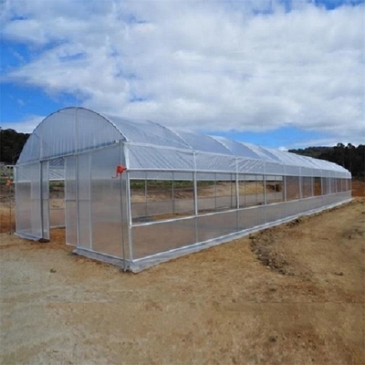 PET Plastikfilm-Gewächshaus mit Kühlsystem für die Landwirtschaft