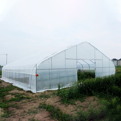 Bauernhof-Tunnel-Polyäthylen-Film-Gewächshaus/klares Plastikgewächshaus für verschiedenes Gemüse