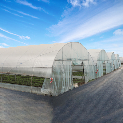 4 Mil Tunnel Plastic Greenhouse Cover verstärkten das klare Polybedecken