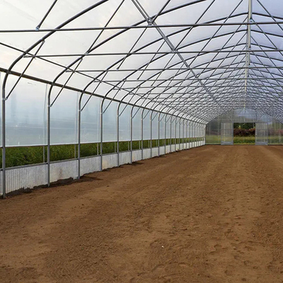 Tomaten-Polygewächshaus-landwirtschaftlicher Tunnel-Plastikgewächshaus für Berieselungs-Ausrüstung