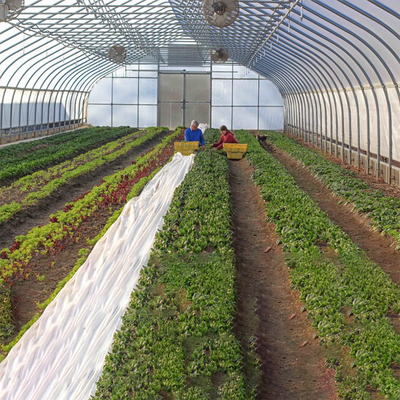 Einzelnes Spannen-hohes Tunnel-Gewächshaus-einlagiger Film für die Tomaten landwirtschaftlich