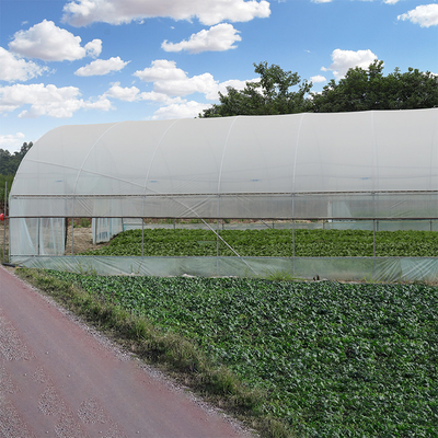 Landwirtschafts-einzelnes Spannen-Plastikgewächshaus mit Polytunnel-Stahl-Rahmen-doppeltem Film