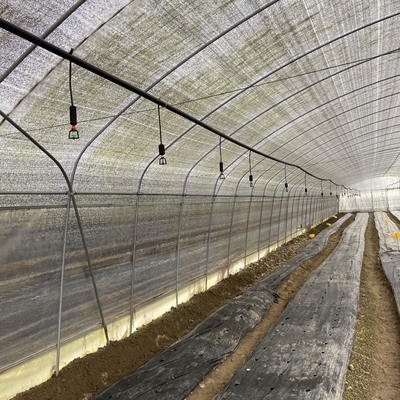 Seitenbelüftungs-Plastikfilm-niedriges Tunnel-Gewächshaus-einzelne Spanne für das Pilz-Wachsen