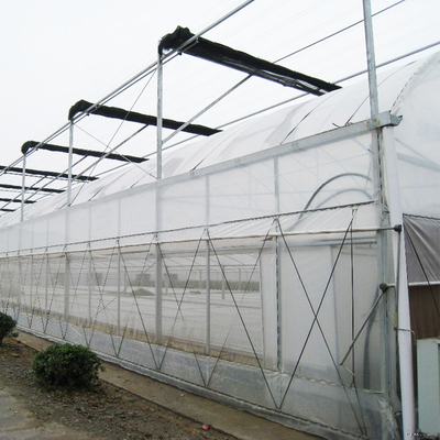Sonnenlicht-hoher doppelter Bogen-multi Spannen-Gewächshaus für das Gemüse-Pflanzen