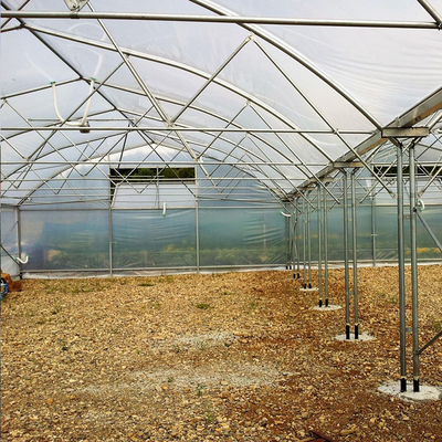 Galvanisierte Stahlrahmen-multi Spannen-landwirtschaftliche Gewächshäuser blühen Gemüsebau
