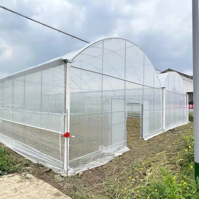 Hohes Tunnel-multi Spannen-Gewächshaus Plastik-PET Film für Erdbeere