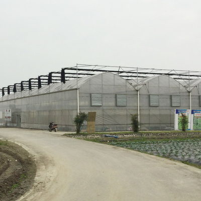 Heiße galvanisierte Stahlwasserkulturtomaten-multi Spannen-Gewächshaus-Landwirtschaft im Freien