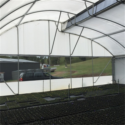 Tropischer Lüftungsanlage-Sägezahn-einzelnes Spannen-Gewächshaus für die Gemüse-Zucht