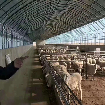 Hühnerpolytunnel-Gewächshaus für Geflügelfarm-Viehbestand-und Geflügelzucht