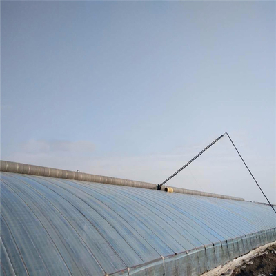 Tomaten-passives Solargewächshaus mit elektrischer Rollenoben Belüftung