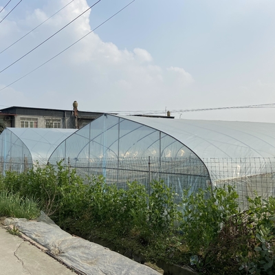 Landwirtschaftlicher 8m Breite PET Film-Einzel-Spannen-Tunnel-Plastikgewächshaus für die Gemüse-Zucht