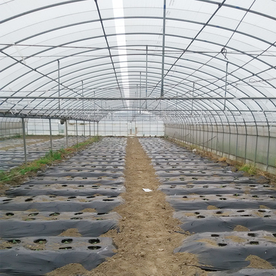 Multi Spannen-Rahmen-Plastikfilm-Gewächshaus für landwirtschaftliches Gemüsetier